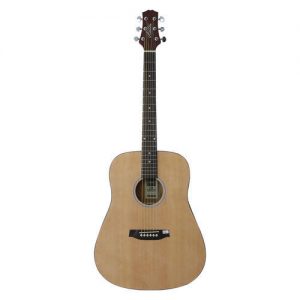 Ashton Acoustic Guitar