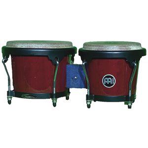 Bongo